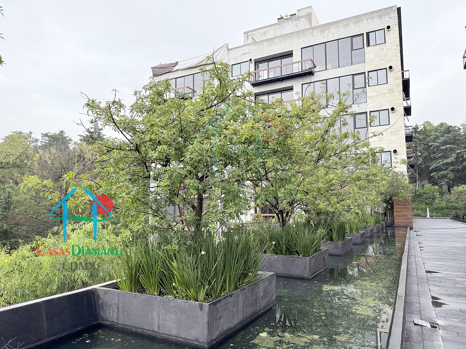 Acanto Ecos del Bosque - Acceso 10 Acanto Ecos del Bosque - Acceso 10